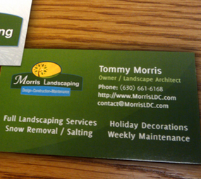 Naperville Landscape Designer