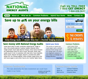 National Energy Audits