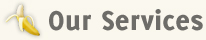 Chicago Marketing Services Chicago Marketing Services